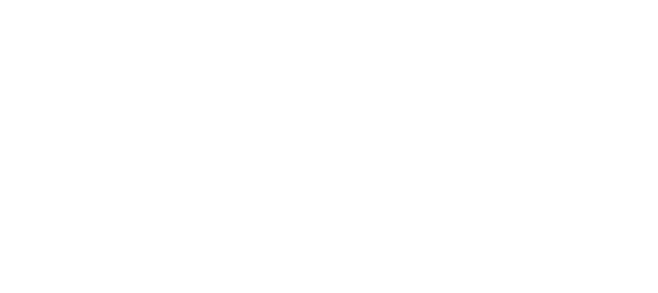 SAAM Verspieren Group